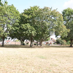 1L9A7778.JPG