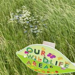 Wild Area Sign