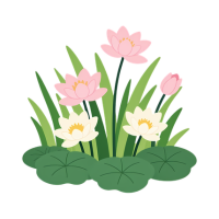Picture of flowers