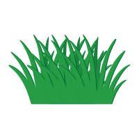 Image of grass