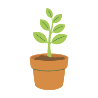 Plant growing in pot
