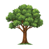 An image of a tree