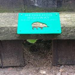 A hedgehog highway sign