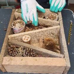 Gloved hands working on a bug hotel