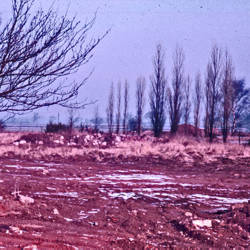 File0083-1.jpg
