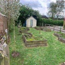 A school garden with newly planted fruit trees