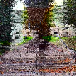 Yellow brick building in sunlight