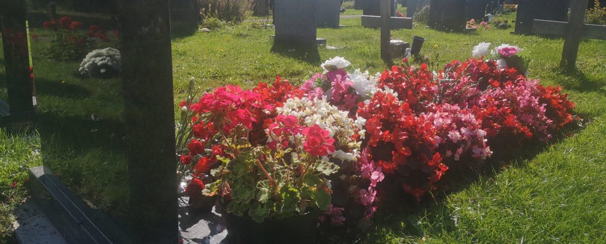 Behind shot of a grave full of coloured flowers