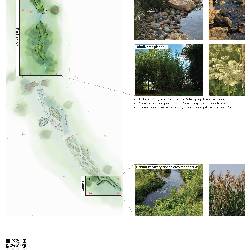 Zone 1, 4 & 5 - Images and details of nature recovery and habitat management
