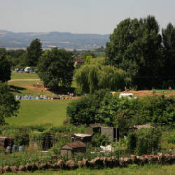 Mundy-Playing-Fields.jpg