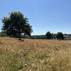 Mundy Playingfields 5.jpeg