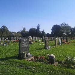Image of graves in the cemetery