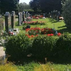 An image of a grave with green foliage