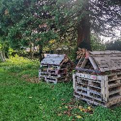 Bug Hotels 2.jpg