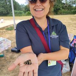Image showing woman holding a moth