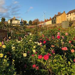 2nd-runner-up_Daggs-allotments_Jim-Constable-scaled.jpeg