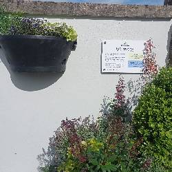 1753199405107.jpg