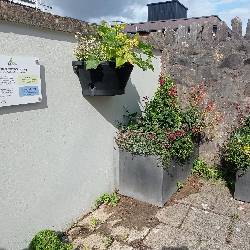 1753199405125.jpg