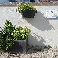1753199405146.jpg