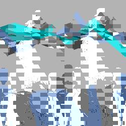 Post image header